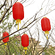 photo-2929717